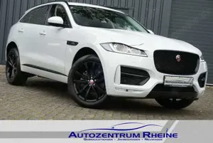 Jaguar F-Pace R-Sport AWD Bi-Xenon RFK SHZ NAVI Ambient