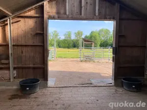 Offenstallplatz frei Bild 2