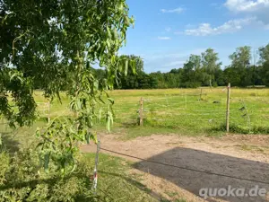 Offenstall Platz frei