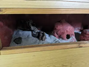 Verschenke Terrarium 120*60*60