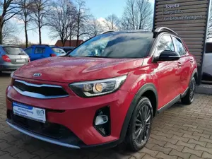 Kia Stonic Platinum Edition *Glasdach*Leder*Navi*Kamera*SHZ*