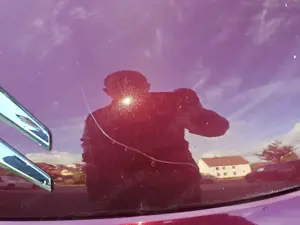 Citroen C3 C3 Pluriel HDi 70 Exclusive Bild 4