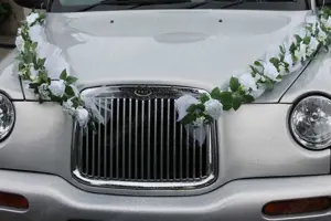 LEVC TX London Taxi Int. TXII Silver Auto Bild 2