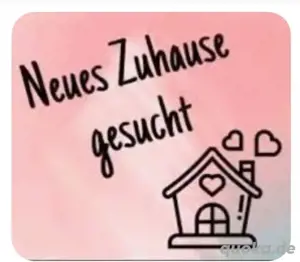Mietwohnung dringend gesucht