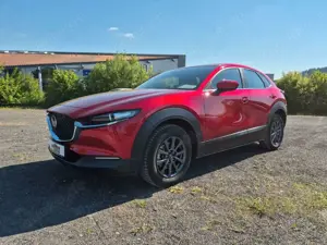 Mazda CX-3 0 Prime-Line 2WD Navi HUD M-Hybrid Bild 2