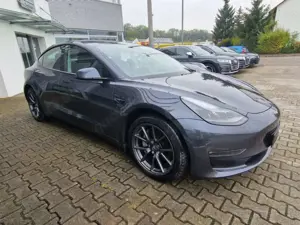 Tesla Model 3 Model 3 Long Range Dual AWD ACC Kamera Leder Pano- Bild 3