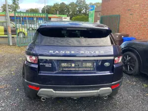 Land Rover Range Rover Evoque Pure Bild 5