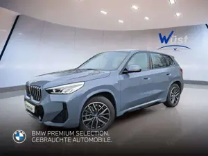 BMW iX1 xDrive30 1.HAND | M-PAKET | LENKRADHEIZUNG