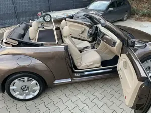 Volkswagen New Beetle