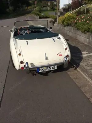 Austin-Healey 100 100/6 BN 4 2+2 (Bauzahl 327 Stück) Bild 4 Austin-Healey 100 100/6 BN 4 2+2 (Bauzahl 327 Stück) Bild 4