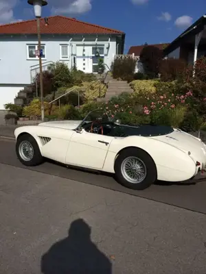 Austin-Healey 100 100/6 BN 4 2+2 (Bauzahl 327 Stück) Bild 1 Austin-Healey 100 100/6 BN 4 2+2 (Bauzahl 327 Stück) Bild 1