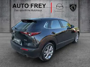 Mazda CX-30 122PS Selection 360°+ACT-P+BOSE+HEAD-UP Bild 3