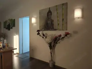 Panda Wellness Chinesische Tuina Massage in Aschaffenburg Bild 3