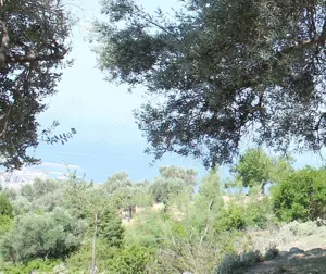 Erschlossener Baugrund. ab 3000qm. Meer 2km. Panoramablick