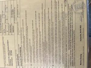 Landschildkröten mit Cites Papieren Bild 4