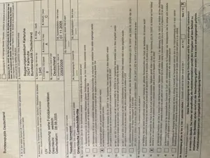 Landschildkröten mit Cites Papieren Bild 5