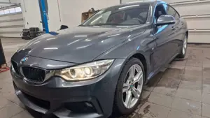BMW 420 M Sport Kamera Navi Leder Rot