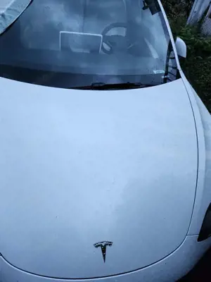 Tesla Model 3 Model 3 Standard Reichweite Plus Hinterradantrieb