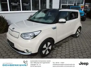 Kia Soul EV Play Navi, Winterr.