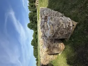 Brennholz(Buche)