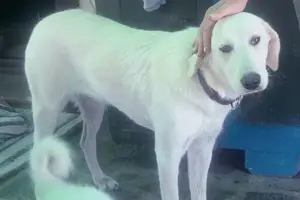 Bianca sucht ein Zuhause