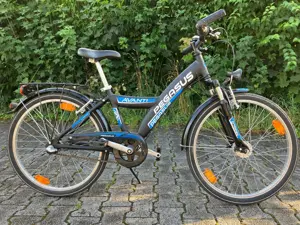 Pegasus Avanti City- Trekkingrad 24 Zoll