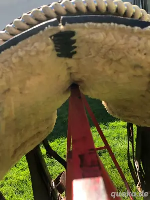 Westernsattel Pullman Continental 1554 Bild 5