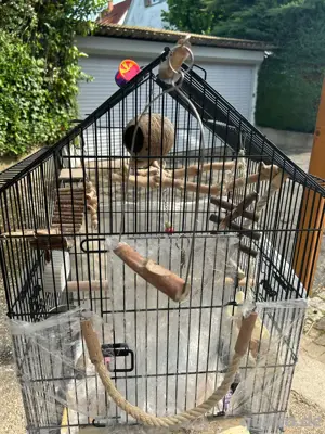 vogel käfig
