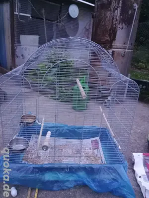 XL Vogelkäfig + Zubehör 