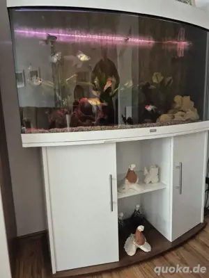Aquarium mit Unterschrank komplett 240l
