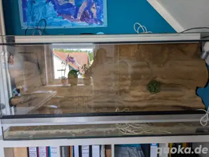Terrarium Gebraucht 