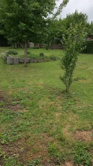Idyllisches Gartengrundstück mit Südhanglage in 71299 Wimsheim   800 m  Bild 2