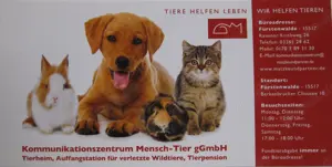 Helfer für Tierheim-Marktstände, Kinderglücksrad, Auf- und Abbau gesucht sowie Spielzeugspenden Bild 2