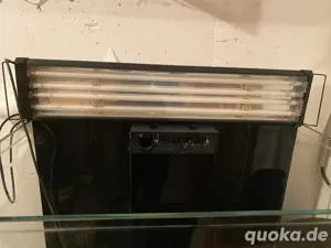 Meerwasser Odyssea 