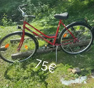 Cooles Fahrrad & diverse weitere, für den guten Zweck!!