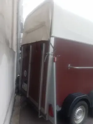 Mit Mich Verleih Pferdeanhänger Autotransporter Kipper Hochlader Mieten ab 40   Bild 5