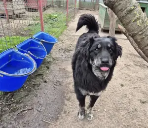 Die bezaubernde Cara sucht neuen Wirkungskreis