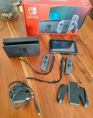  Nintendo Switch Grau + 2 Snakebite Controller