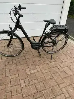Hercules E- Bike