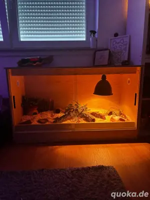 Terrarium 120x50x70 & ExoTerra 60x45x30