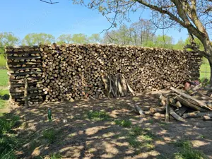 Brennholz buche, eiche 