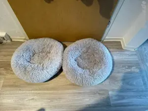 katzenbett 