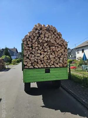 fichte, Nadelholz