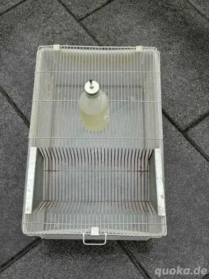 Nagerzuchtbox T4 Makrolonbox
