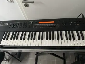 Roland XP-30 mit Flightcase
