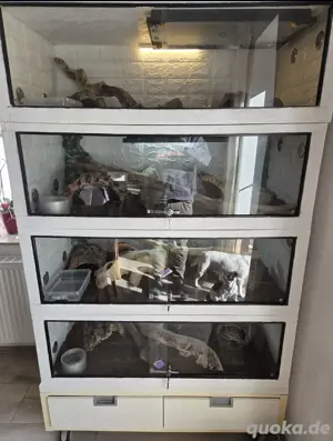 Terrarium 120x60x40 komplett 