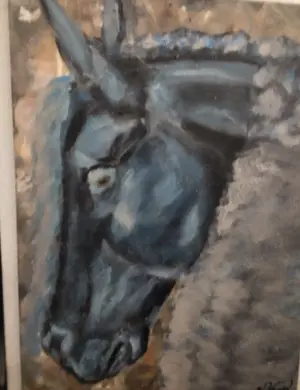 Schwarzes Pferd 