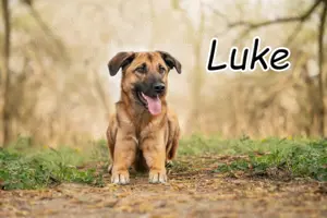 Zeigen Sie Luke wie das mit der Ruhe funktioniert?