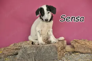  Lösen Sie gemeinsam mit Cindy das Rätsel des Lebens?