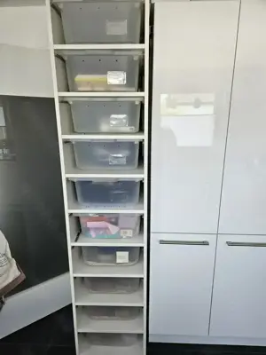 Königspython Rack mit Komplement Boxen 